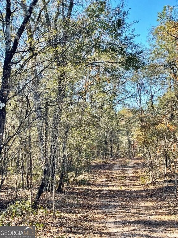 0 Highway 56 S unit 10646183, Swainsboro, GA 30401 - photo 7