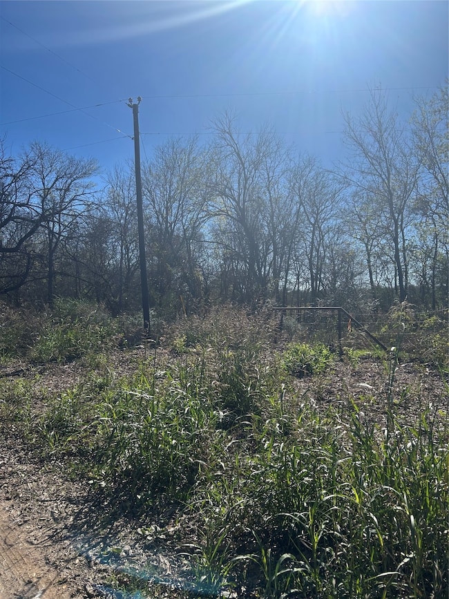 TBD County Road 27300, Honey Grove, TX 75446 - photo 7