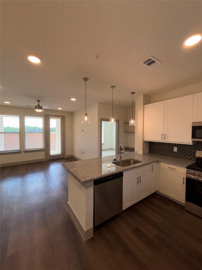 300 Lucas Ln unit 1009, Melissa, TX 75454 - photo 5