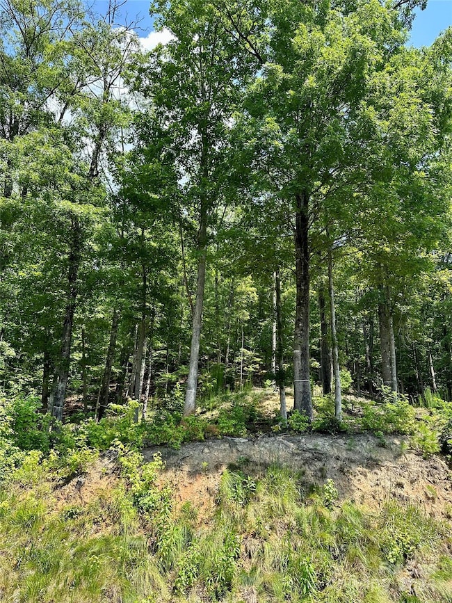 4110 French Broad Pkwy unit 55, 5, Walnut, NC 28753 - photo 2