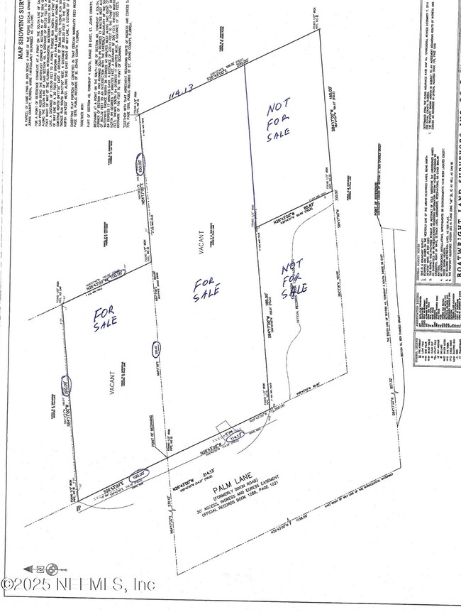 16 Palm Ln, Ponte Vedra Beach, FL 32082 - photo 7