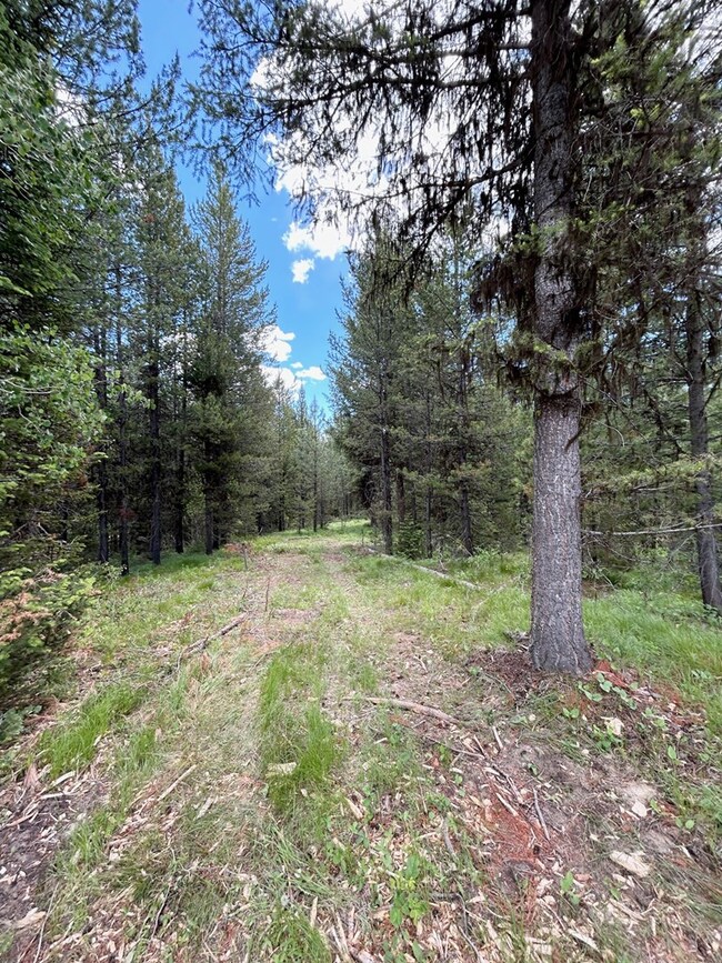 Lot 31 Sawtooth Loop unit Lot 31, Cascade, ID 83611 - photo 4