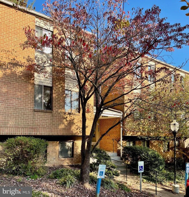 1802 Snow Meadow Ln unit 108, Baltimore, MD 21209 - photo 3