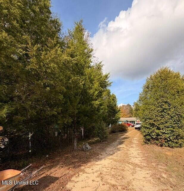 1733 Smith County Road 581, Raleigh, MS 39153 - photo 7