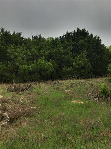 21007 Woodlawn Ct, Whitney, TX 76692 - photo 4