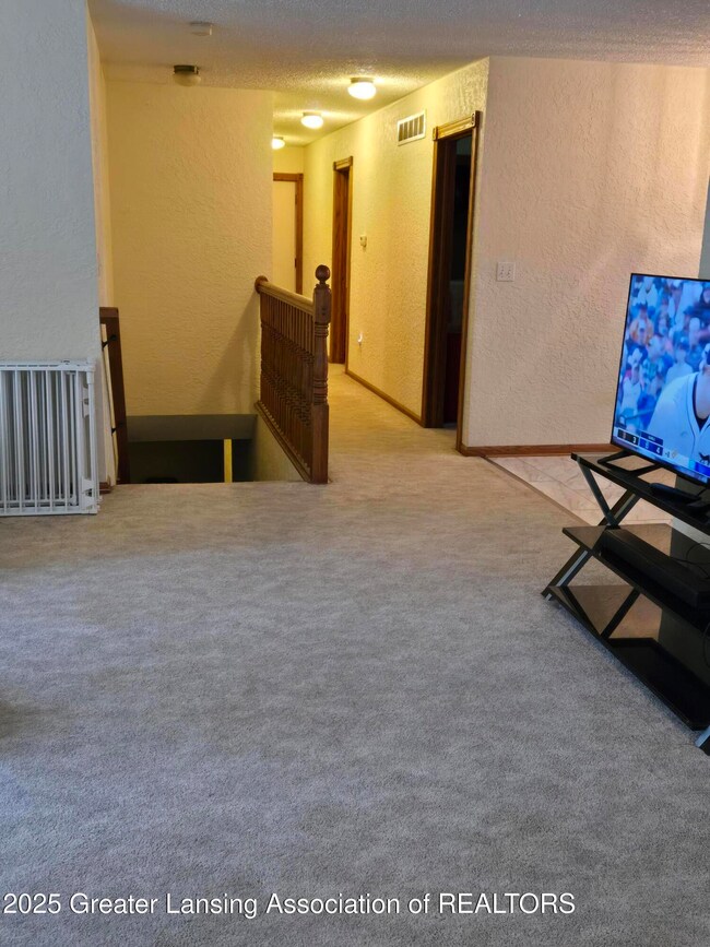 226 E Washington St, Maple Rapids, MI 48853 - photo 7