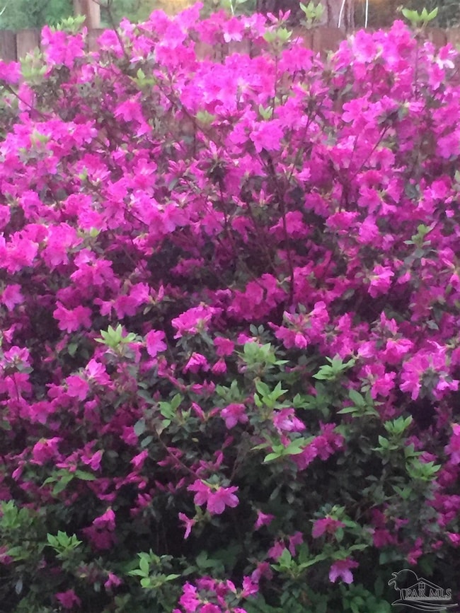 0 Lantana Dr, Lillian, AL 36549 - photo 3