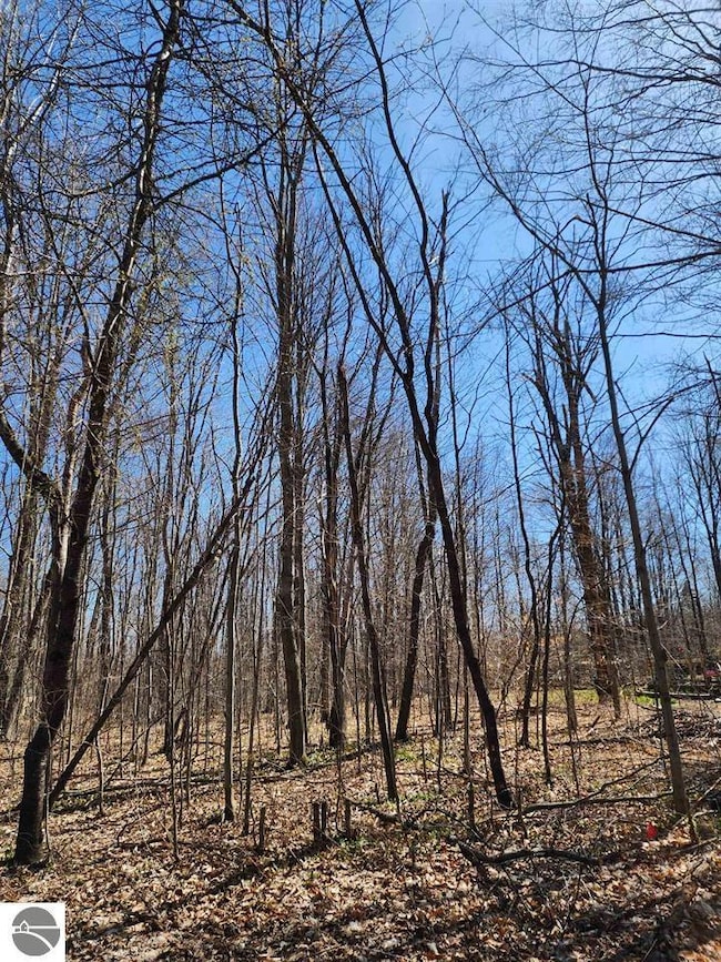 VL Cliffmont Dr, Lakes of the North, MI 49659 - photo 2