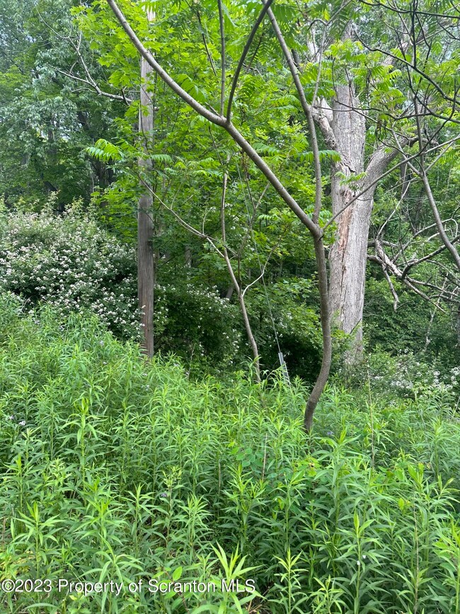 0 Yostville Rd unit GSB232457, Covington Township, PA 18444 - photo 4