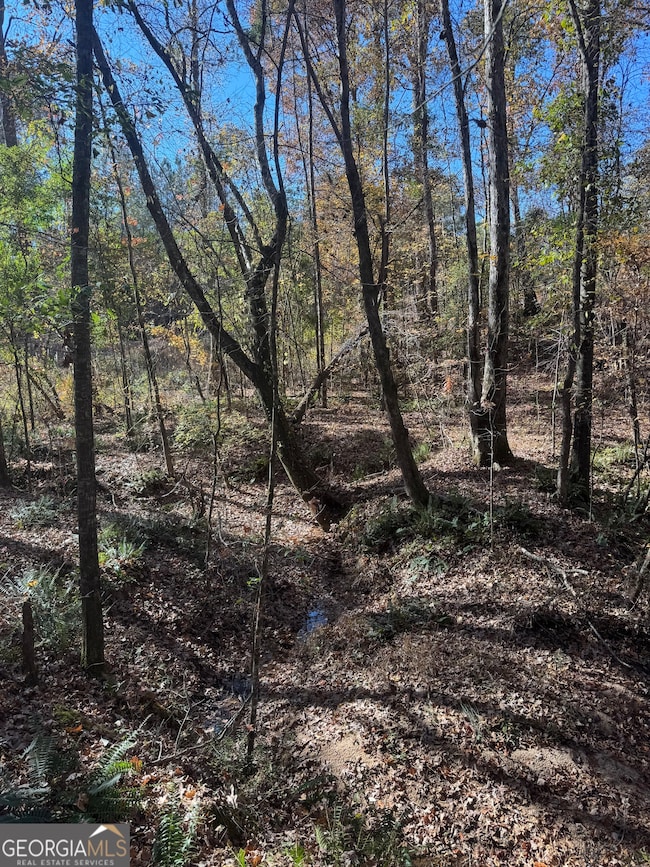 4509 Georgia 18, West Point, GA 31833 - photo 2