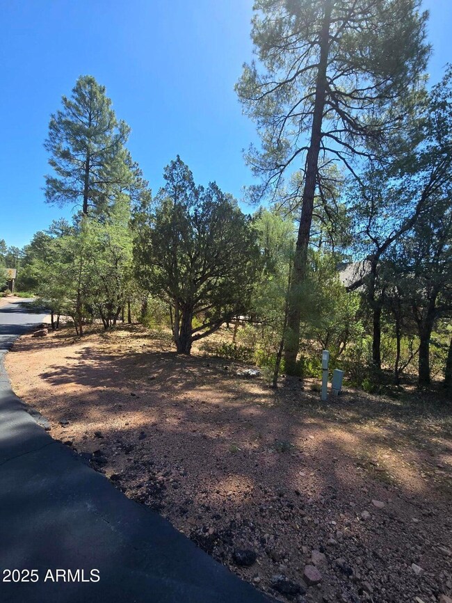 2511 E Pine Island Ln unit Lot  39, Payson, AZ 85541 - photo 2