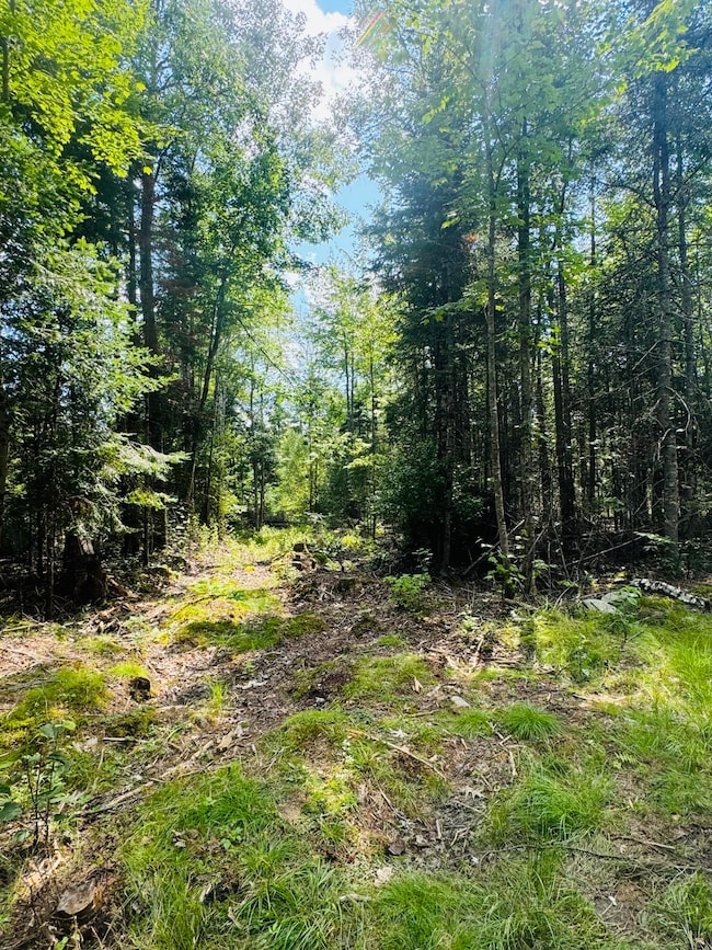 14-6 Hemlock Dr, Hudson, ME 04449 - photo 3