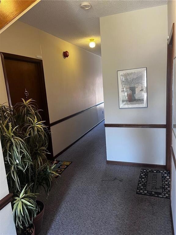 4817 Woodland Ave unit 2, West Des Moines, IA 50266 - photo 3