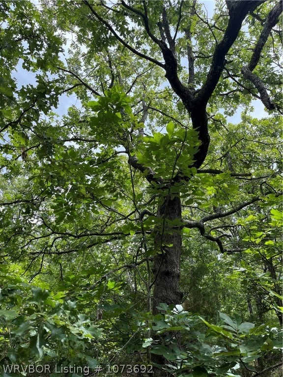 TBD Treasure Cove, Stigler, OK 74462 - photo 4