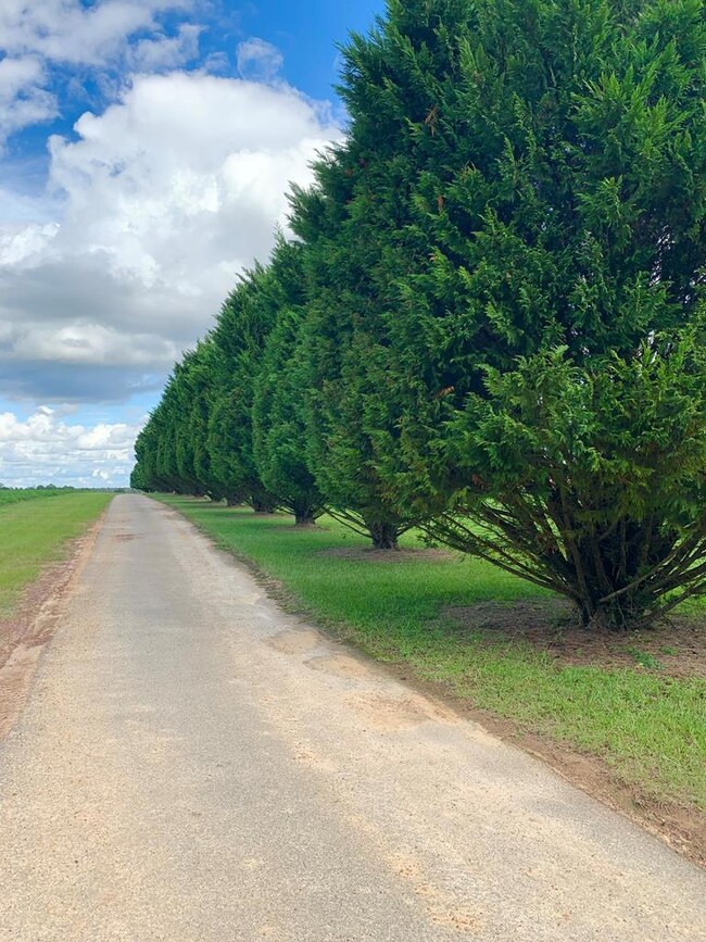 40 Lamb Rd, Ashburn, GA 31714 - photo 4