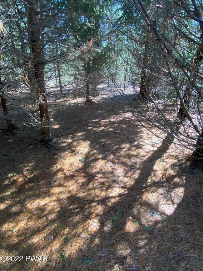 0 Long Ridge Rd, Hawley, PA 18428 - photo 6