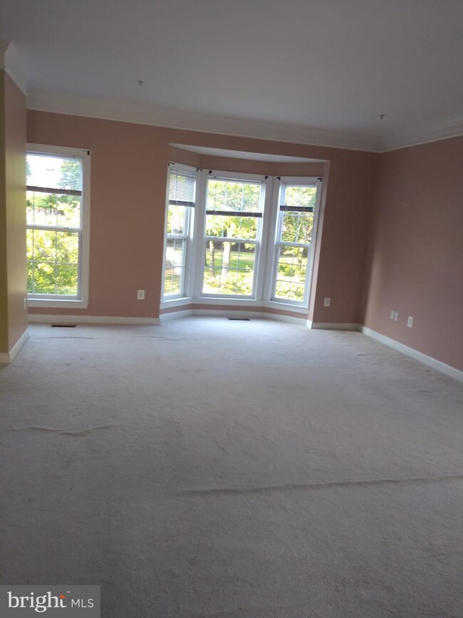 3313 Castle Ridge Cir #30, Silver Spring, MD 20904 - photo 3