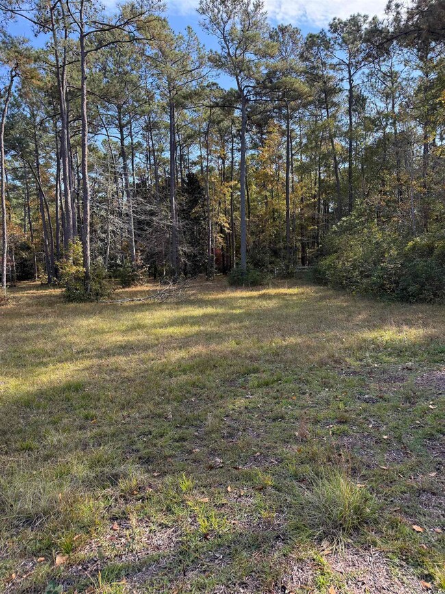 867 Denali Dr, Conway, SC 29526 - photo 7