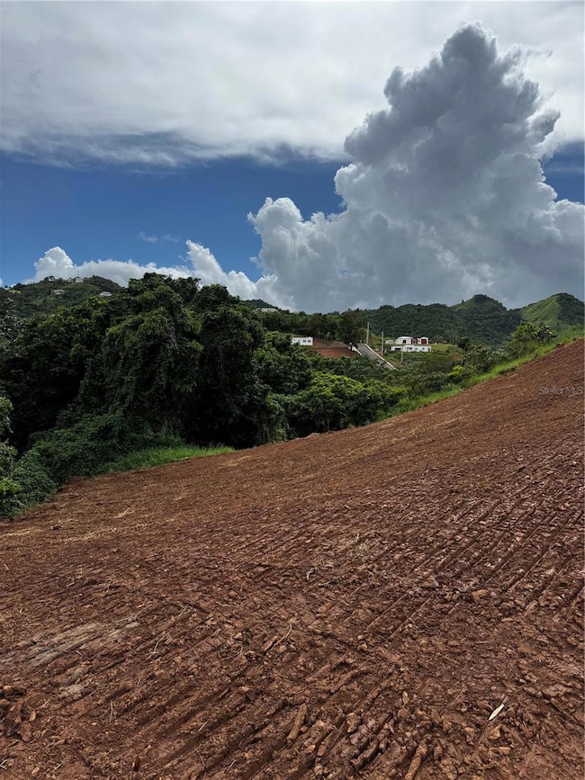 0 Carr 155 Km 31 2 Int Bo Barros unit Lote 1, Orocovis, PR 00720 - photo 4