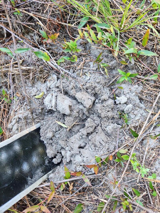 SANDY SOIL