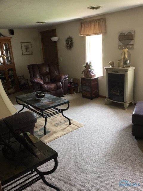 204 E Canal St S, Antwerp, OH 45813 - photo 5