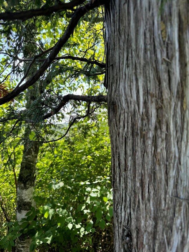 #5 Eagle Ledge Ln, Fish Creek, WI 54212 - photo 5