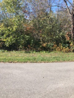 Lot 37 Melanie Dr, Cookeville, TN 38506 - photo 6