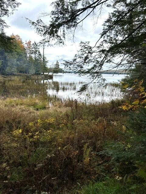 Bergeron 18