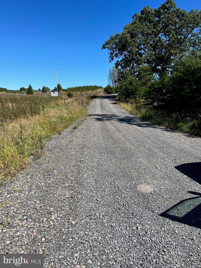 7992 Morgantown Rd, Maysville, WV 26833 - photo 6