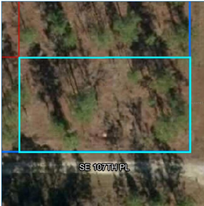 00 SE 130th Ct, Dunnellon, FL 34431 - photo 6