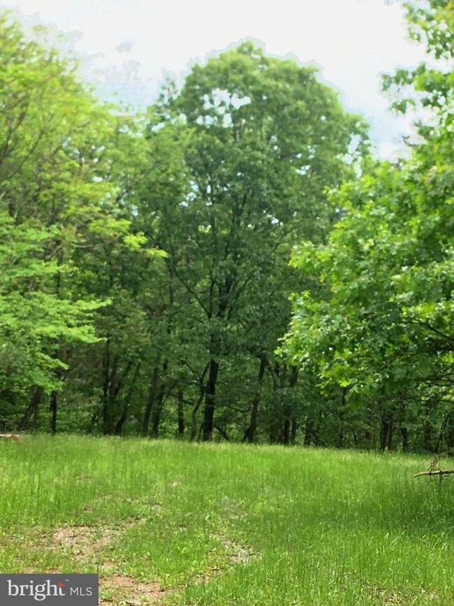 102 Chestnut Place, Cross Junction, VA 22625 - photo 2