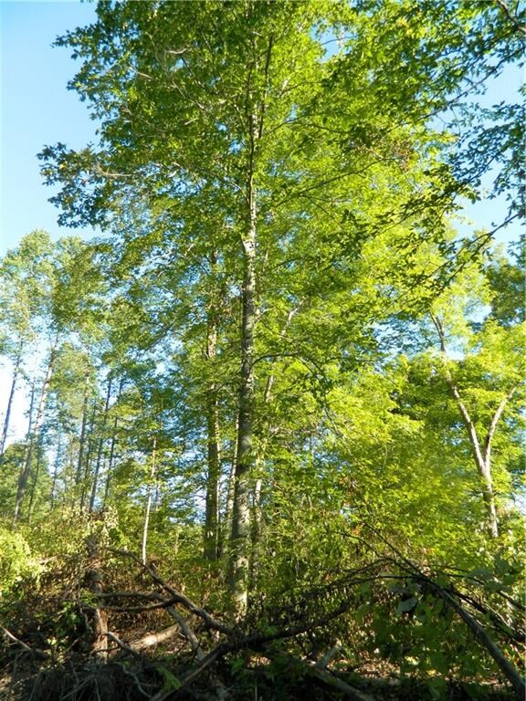 6954 E Sylvania Rd, Bloomfield, IN 47424 - photo 6