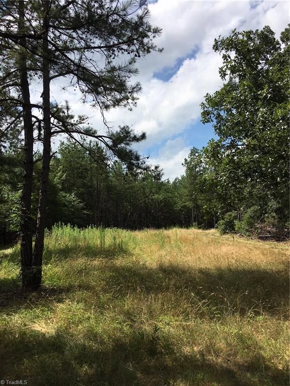 1347 Grantville Ln, Asheboro, NC 27205 - photo 7