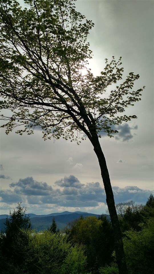 671 John Smith Hill Rd, Bristol, NH 03222 - photo 3