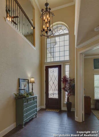 25907 Natal Plum, San Antonio, TX 78261 - photo 2