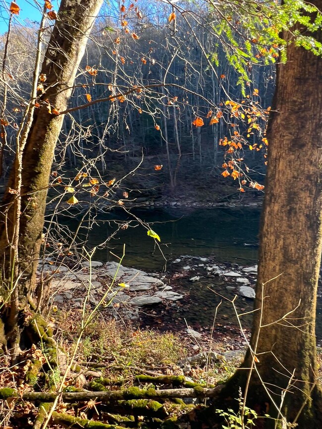 1844 Meece Rd, Somerset, KY 42501 - photo 5