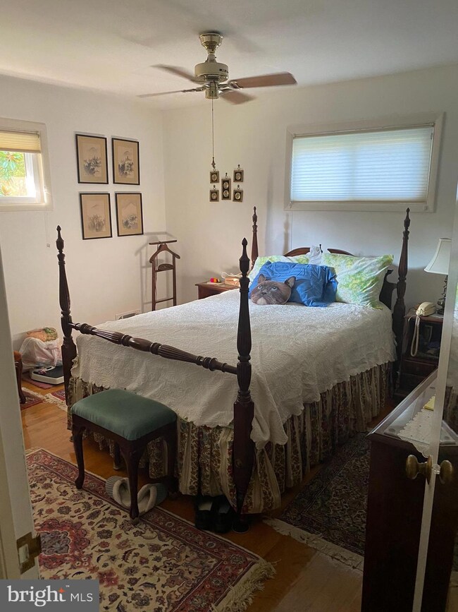 5730 Clarence Ave, Alexandria, VA 22311 - photo 6