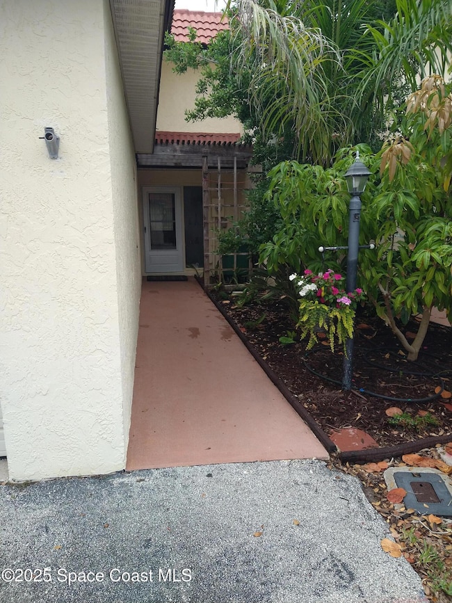 front door 2