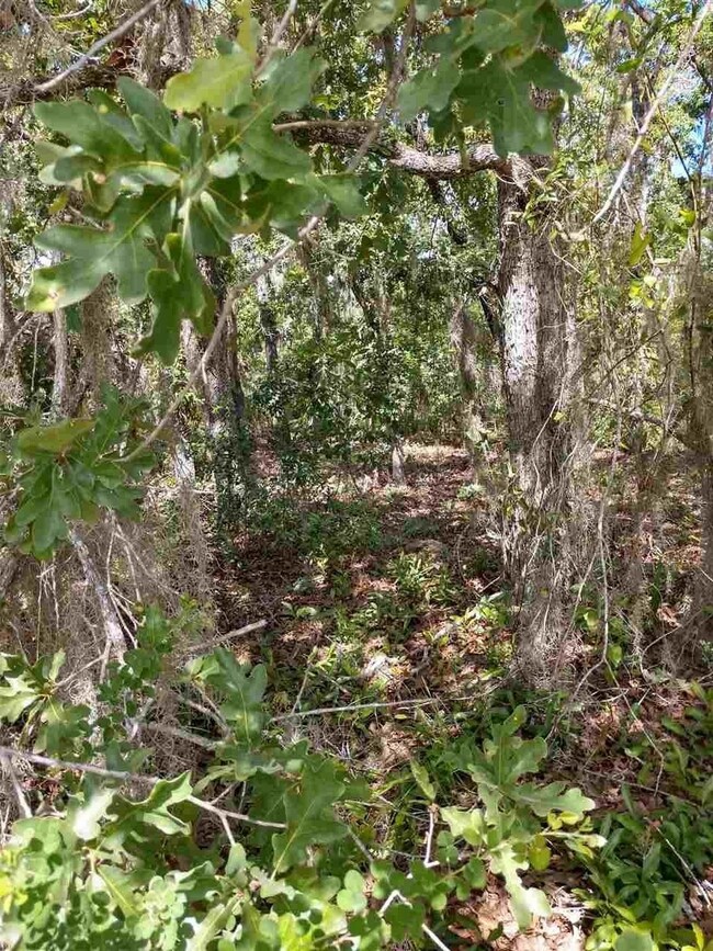 0 Sea Oaks Dr unit 294380, Perry, FL 32348 - photo 2