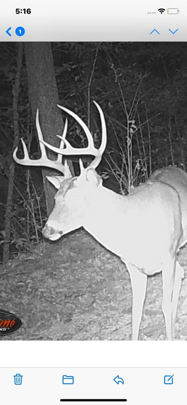 9999 Chestnut Branch Rd, Manchester, KY 40962 - photo 2