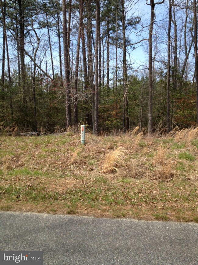 0 Sandy Beach Ln unit 1002228048, King George, VA 22485 - photo 3