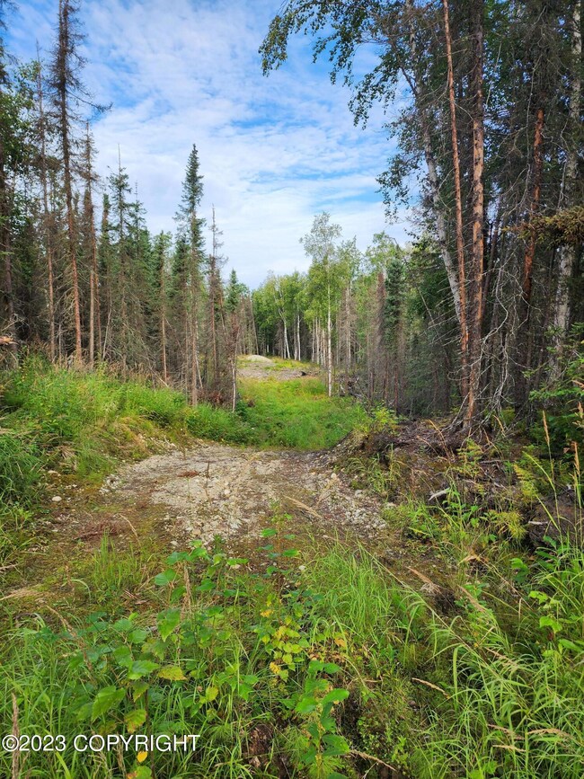 Great Land