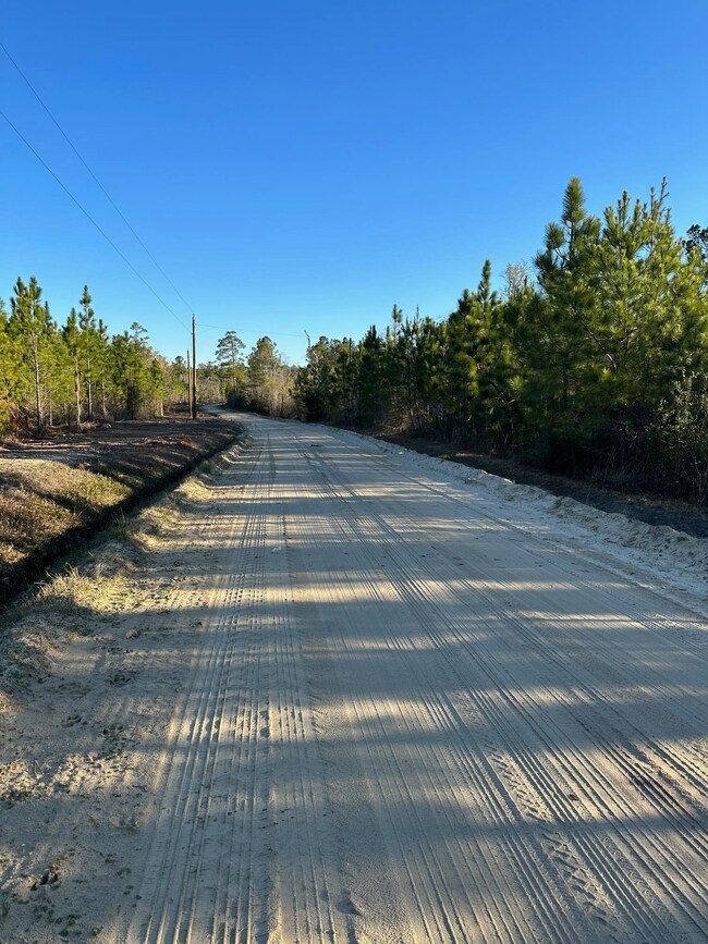 tbd Barts Rd unit LOT E1 and E2, Loris, SC 29569 - photo 2