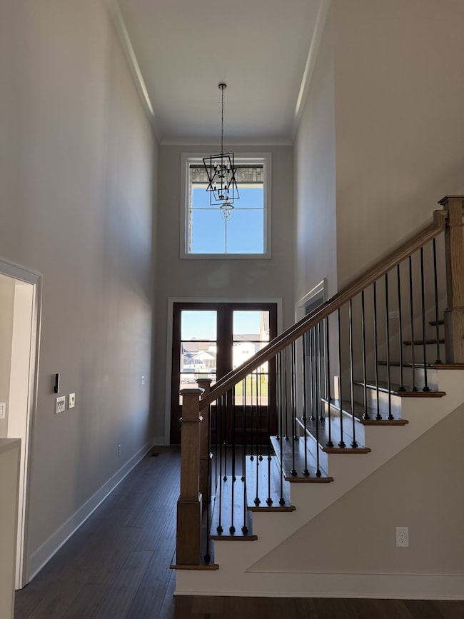 3917 Delzotto Dr, Murfreesboro, TN 37128 - photo 5