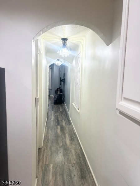 437 Maple Ave, Elizabeth, NJ 07202 - photo 4