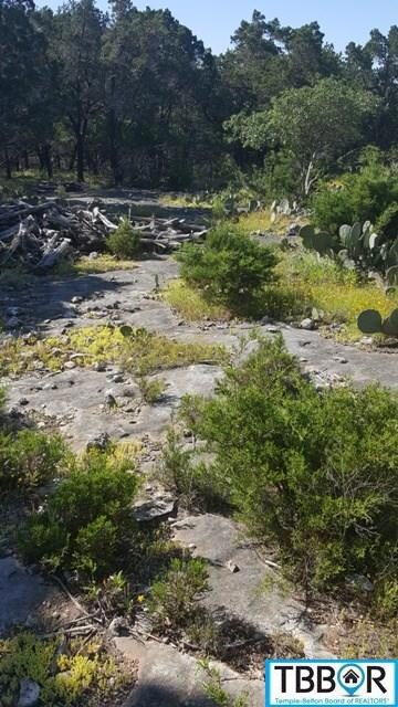 15957 Brazos Dr, Temple, TX 76502 - photo 6