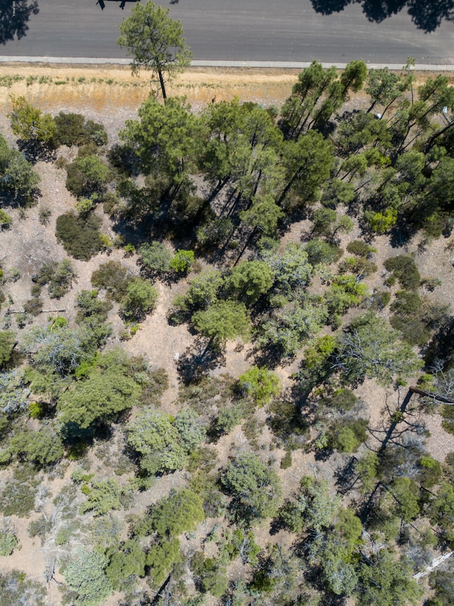 1870 S Pleasant View Dr unit 429, Show Low, AZ 85901 - photo 4