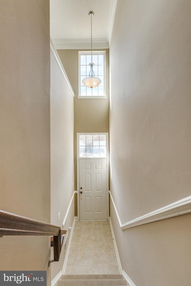 551 Bolin Terrace, Upper Marlboro, MD 20774 - photo 3