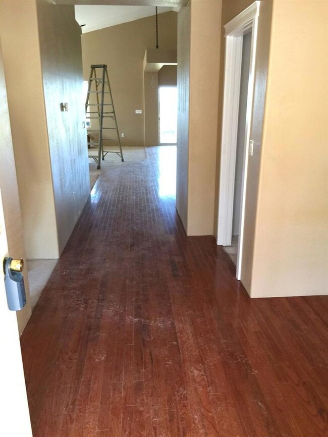 Additional Photo