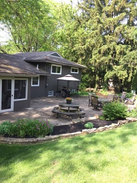 backyard 2